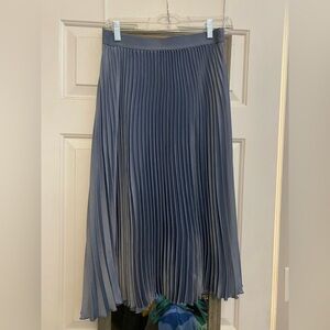 Pleated Circle Skirt